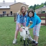 Animal Gardens & Petting Zoo photo