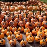 Deal's Orchard photo