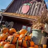Deal's Orchard photo