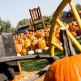 Deal's Orchard photo