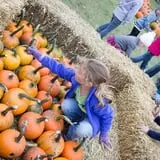 Deal's Orchard photo