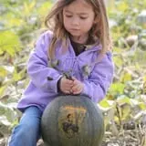 Deal's Orchard photo