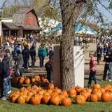 Deal's Orchard photo
