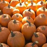 Deal's Orchard photo