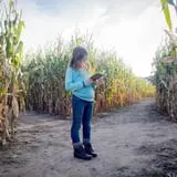Deal's Orchard photo