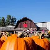 Deal's Orchard photo