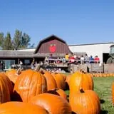 Deal's Orchard photo
