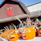 Deal's Orchard photo