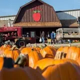 Deal's Orchard photo