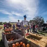 Deal's Orchard photo
