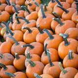 Deal's Orchard photo