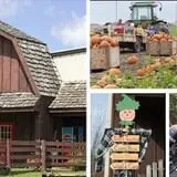 Deal's Orchard photo