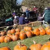 Deal's Orchard photo