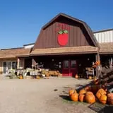 Deal's Orchard photo