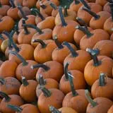 Deal's Orchard photo