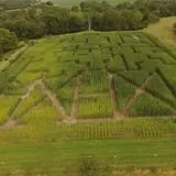 Deal's Orchard photo