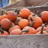 Deal's Orchard photo