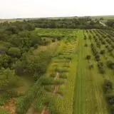 Deal's Orchard photo