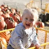 Deal's Orchard photo
