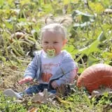 Deal's Orchard photo