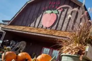 Deal's Orchard