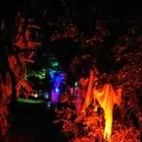 Thompson Terror Trail photo