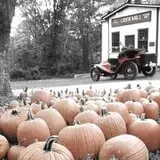 B.F. Clyde's Cider Mill photo