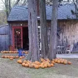 B.F. Clyde's Cider Mill photo