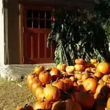 B.F. Clyde's Cider Mill photo