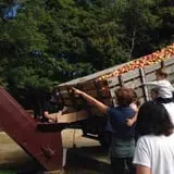 B.F. Clyde's Cider Mill photo