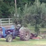 Salinger's Orchard photo