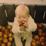 Salinger's Orchard photo