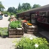 Salinger's Orchard photo