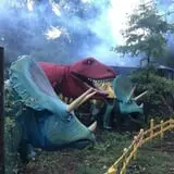 Visit Our Friendly Dinos