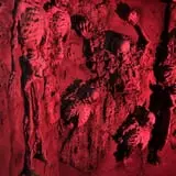 Walls covered with the bodies