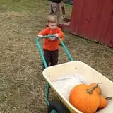 C. N. Smith Farm Pumpkin Picking & Hayride photo