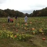 C. N. Smith Farm Pumpkin Picking & Hayride photo