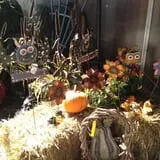 C. N. Smith Farm Pumpkin Picking & Hayride photo