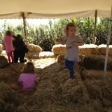 C. N. Smith Farm Pumpkin Picking & Hayride photo