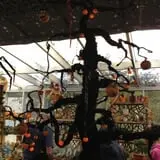 C. N. Smith Farm Pumpkin Picking & Hayride photo