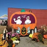 C. N. Smith Farm Pumpkin Picking & Hayride photo