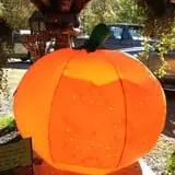 C. N. Smith Farm Pumpkin Picking & Hayride photo