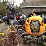 C. N. Smith Farm Pumpkin Picking & Hayride photo