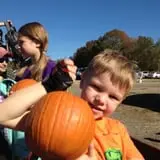 C. N. Smith Farm Pumpkin Picking & Hayride photo