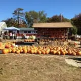 C. N. Smith Farm Pumpkin Picking & Hayride photo