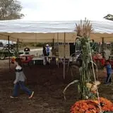 C. N. Smith Farm Pumpkin Picking & Hayride photo