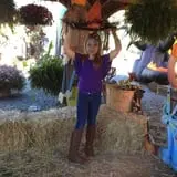 C. N. Smith Farm Pumpkin Picking & Hayride photo