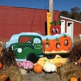 C. N. Smith Farm Pumpkin Picking & Hayride photo