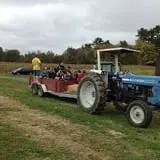 C. N. Smith Farm Pumpkin Picking & Hayride photo