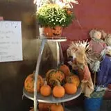 C. N. Smith Farm Pumpkin Picking & Hayride photo